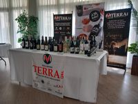 exclusivas terra