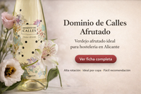 Dominio de Calles Afrutado Verdejo – vino blanco para hostelería en Alicante