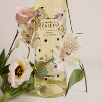 Dominio de Calles Afrutado vino blanco Verdejo distribución Alicante hostelería Dominio de Calles Afrutado vino blanco Verdejo distribución Alicante hostelería